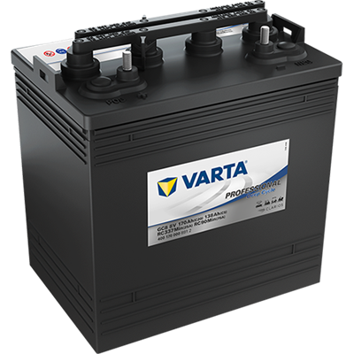 Akumulator VARTA Professional 8V 170Ah GC8